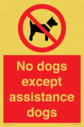 no-dogs-except-assistance-dogs~